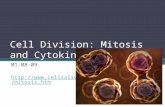 Cell Division: Mitosis and Cytokinesis 01-08-09 .