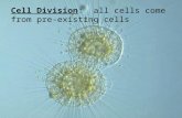 Cell Division: all cells come from pre- existing cells.
