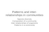 Patterns and inter- relationships in communities Species diversity Composition of a community Inter-relationships of organisms Patterns in a communtiy.