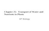 Chapter 25: Transport of Water and Nutrients in Plants AP Biology.