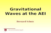 Gravitational Waves at the AEI Bernard.Schutz@aei.mpg.de Bernard Schutz.