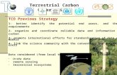 Terrestrial Carbon Observations TCO Previous Strategy 1- better identify the potential end users, and their requirements 2- organize and coordinate reliable.