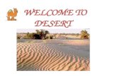 WELCOME TO DESERT. What is a Desert? Desert is an arid region characterized Desert is an arid region characterized by extremely high or low temperatures.