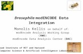 Drosophila modENCODE Data Integration Manolis Kellis on behalf of: modEncode Analysis Working Group (AWG) modEncode Data Analysis Center (DAC) MIT Computer.