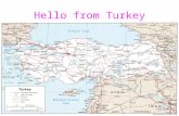 Hello from Turkey Muğla is our country and Dalaman is our city.It is nearly 65 km to Muğla.