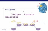 Biology Enzymes: “Helper” Protein molecules Biology Flow of energy through life  Life is built on chemical reactions.