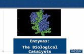 Enzymes: The Biological Catalysts. Energy of Activation Most reactions do not start spontaneously They require energy, such as a spark, to get started.