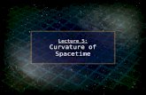 Lecture 5: Curvature of Spacetime. Spacetime Curvature In the last lecture, we talked about tidal gravity and how this bothered Einstein greatly. A person.