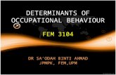 DETERMINANTS OF OCCUPATIONAL BEHAVIOUR FEM 3104 DR SA’ODAH BINTI AHMAD JPMPK, FEM,UPM.