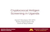 Cryptococcal Antigen Screening in Uganda David R Boulware MD MPH Radha Rajasingham MD David B Meya MMed Infectious Disease Institute Makerere University.