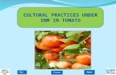 CULTURAL PRACTICES UNDER INM IN TOMATO.  Groups of vegetables are grown on different sections of a plot of ground each year  Helps in maintaining the.