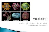 Virology An Introduction to the Viruses Non-Living Etiologies.
