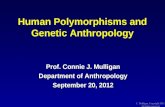 C. Mulligan, Copyright 2011 All rights reserved Human Polymorphisms and Genetic Anthropology Prof. Connie J. Mulligan Department of Anthropology September.