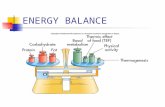 ENERGY BALANCE. ENERGY INTAKE VERSUS EXPENDITURE.