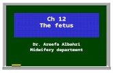 Ch 12 The fetus Dr. Areefa Albahri Midwifery department.