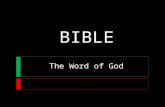 BIBLE The Word of God. 2TIM 3:16-17 All Scripture is inspired by God and profitable for teaching, for reproof, for correction, for training in righteousness;