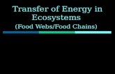 Transfer of Energy in Ecosystems (Food Webs/Food Chains)