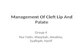 Management Of Cleft Lip And Palate Group 4 Nur Fatin, Masyitah, Amalina, Syafiqah, Hanif.
