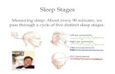 Measuring sleep: About every 90 minutes, we pass through a cycle of five distinct sleep stages. Sleep Stages Hank Morgan/ Rainbow.