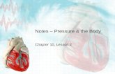 Notes – Pressure & the Body Chapter 10, Lesson 2.