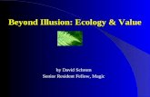 Beyond Illusion: Ecology & Value by David Schrom Senior Resident Fellow, Magic.