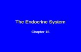 The Endocrine System Chapter 15. Hormones Secreted by endocrine glands, endocrine cells, and certain neurons Travel through the bloodstream to nonadjacent.