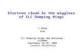 Electron cloud in the wigglers of ILC Damping Rings L. Wang SLAC ILC Damping Rings R&D Workshop - ILCDR06 September 26-28, 2006 Cornell University.
