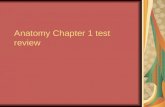 Anatomy Chapter 1 test review. Test review What is Anatomy?