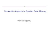 Semantic Aspects in Spatial Data Mining Vania Bogorny.
