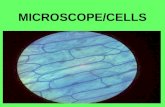 MICROSCOPE/CELLS. I. Microscope A. Parts 1. Eyepiece – part you look through; 10x 2. Coarse Adj. – focuses; moves stage up & down 3. Fine Adj. – focuses.