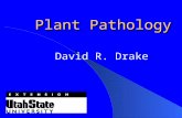 Plant Pathology David R. Drake. Pathology The study of disease. Disease Anything that causes abnormal growth.