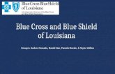 Blue Cross and Blue Shield of Louisiana Group 6: Andres Granada, Daniel Nan, Pamela Oncale, & Taylor Veillon.