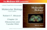 Molecular Biology Fourth Edition Chapter 19 Ribosomes and Transfer RNA Lecture PowerPoint to accompany Robert F. Weaver Copyright © The McGraw-Hill Companies,