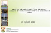 BRIEFING ON ENERGY EFFICIENCY AND ENERGY SAVINGSTO THE PARLIMENTARY PORTFOLIO COMMITTEE ON ENERGY 10 AUGUST 2011 1.
