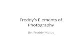 Freddy’s Elements of Photography By: Freddy Matos.