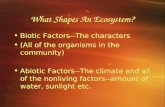 What Shapes An Ecosystem? Biotic Factors--The characters (All of the organisms in the community) Abiotic Factors--The climate and all of the nonliving.