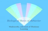 Biological Basis of Behavior Wadsworth, a division of Thomson Learning.