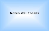 Notes #5: Fossils. I. How can scientists know what organisms were around long ago??? Fossils are used to determine: 1.The kinds of organisms that lived.