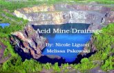 Acid Mine Drainage By: Nicole Liguori Melissa Pskowski.