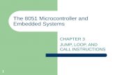 1 The 8051 Microcontroller and Embedded Systems CHAPTER 3 JUMP, LOOP, AND CALL INSTRUCTIONS.