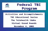 Activities and Accomplishments TBI Educational Series The Telehealth Idaho Virtual Grand Rounds November 4, 2003 Federal TBI Program.