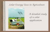 1 Solar Energy Uses in Agriculture A detailed study of a solar application.