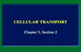 CELLULAR TRANSPORT Chapter 3, Section 2 Section 8.1 Summary – pages 195 - 200 Diffusion is the movement of particles from an area of higher concentration.