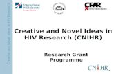 Creative and Novel Ideas in HIV Research Creative and Novel Ideas in HIV Research (CNIHR) Research Grant Programme.