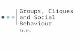 Groups, Cliques and Social Behaviour Truth.. Types of Groups Social Groups: Two or more people who interact with each other and are aware of having something.