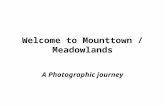 Welcome to Mounttown / Meadowlands A Photographic journey.