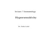 Lecture 7 Immunology Hypersensitivity Dr. Dalia Galal.