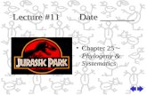 Lecture #11 Date _______ Chapter 25 ~ Phylogeny & Systematics.