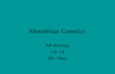 Mendelian Genetics AP Biology Ch. 14 Ms. Haut. Pre-Mendelian Theory of Heredity Blending Theory—hereditary material from each parent mixes in the offspring.
