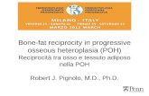 Bone-fat reciprocity in progressive osseous heteroplasia (POH) Reciprocità tra osso e tessuto adiposo nella POH Robert J. Pignolo, M.D., Ph.D.